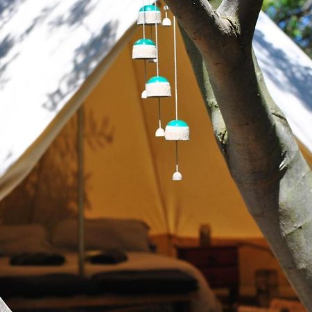 La Brujula Hostel La Paloma Eksteriør bilde
