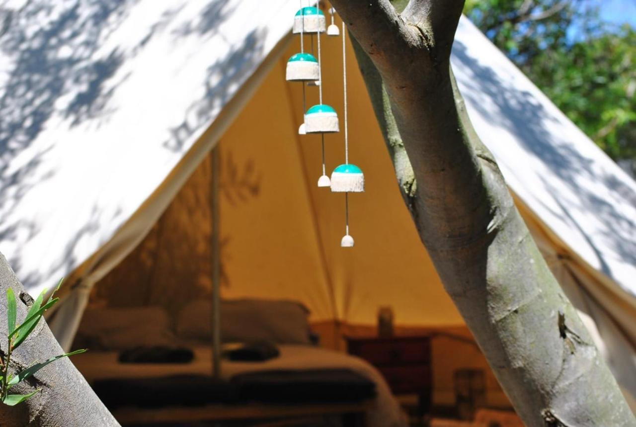 La Brujula Hostel La Paloma Eksteriør bilde